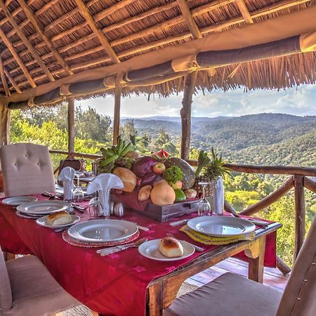 Ngorongoro Forest Tented Lodge 卡拉图 外观 照片
